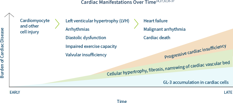 cardiology_chart_with_head