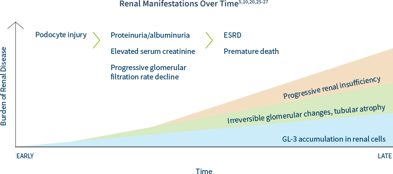 nephrology_chart_with_head