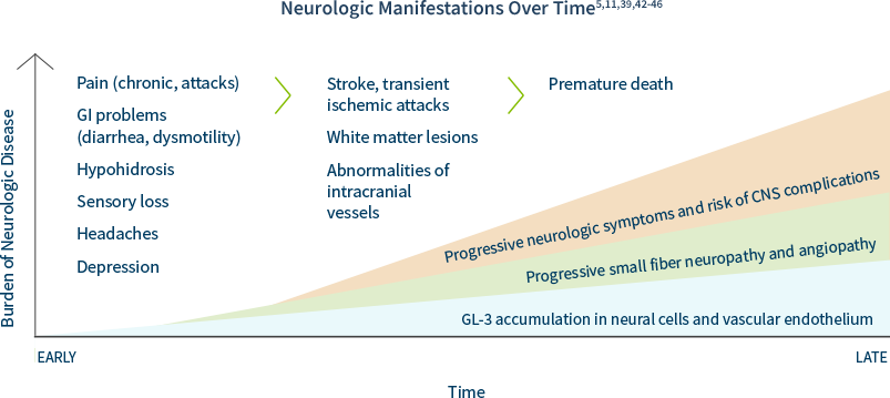 neurology_chart_with_head